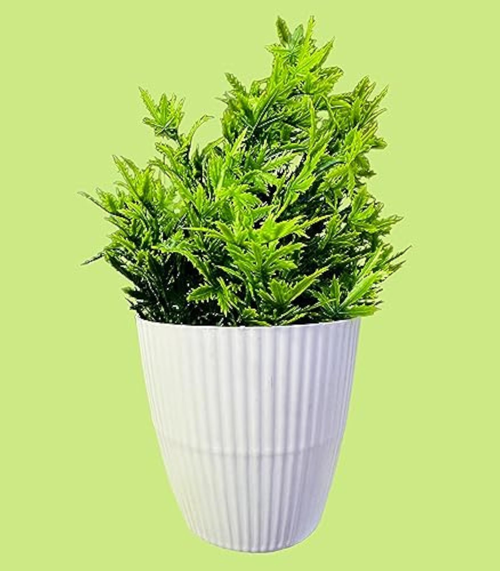 Exotica Leaf Green Colour Flower Artificial Plants